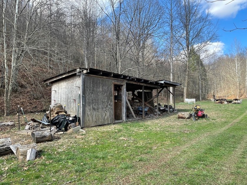 **Escape to Your Own Mini-Farm Paradise in Duck, West Virginia - - photo 42