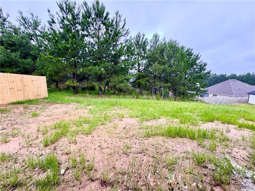 Your brand new home in Neptune's Cove is under construction with - photo 27