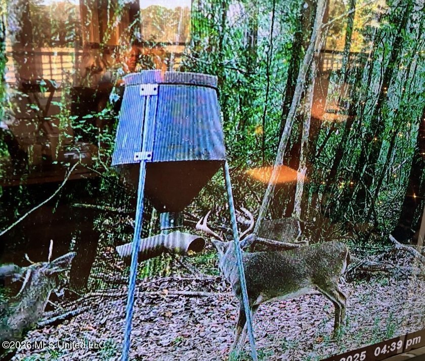 This 139 +/- acre property is located in Covington County, MS - photo 3