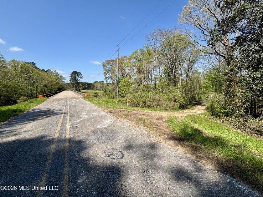 This 139 +/- acre property is located in Covington County, MS - photo 9