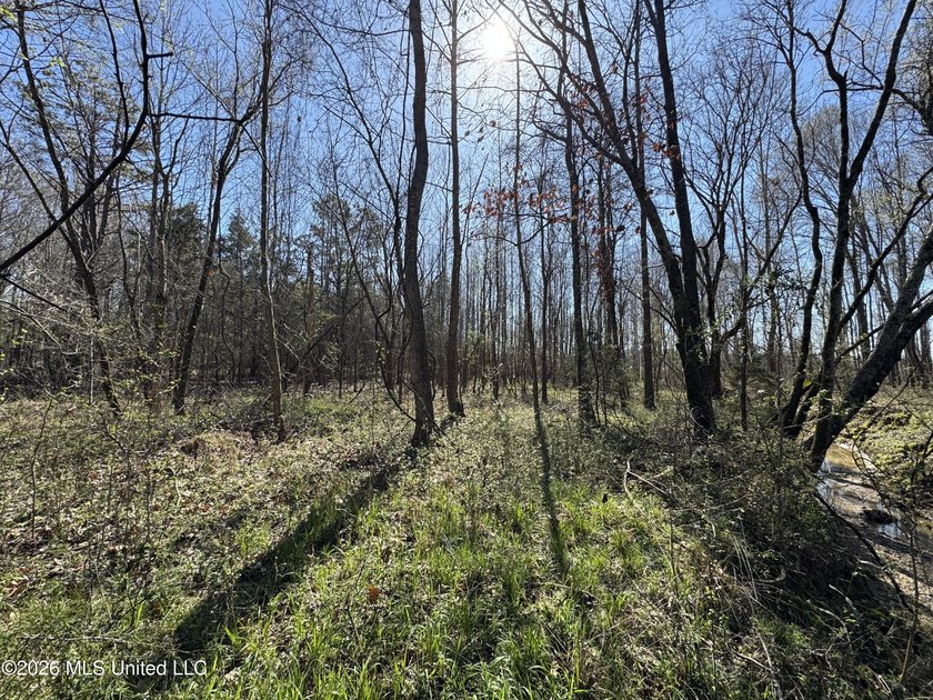 Don't Miss This Opportunity in Yazoo County, MS! Looking for the - photo 4
