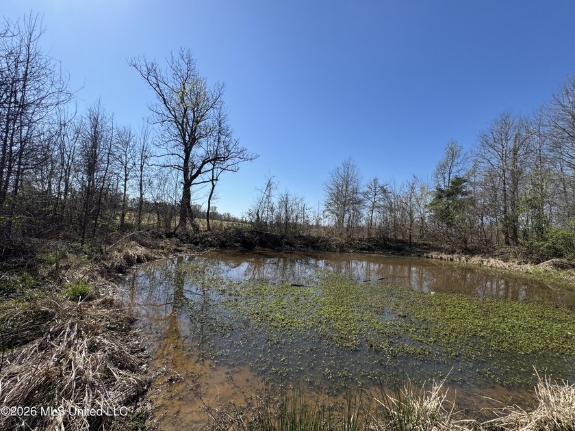 Don't Miss This Opportunity in Yazoo County, MS! Looking for the - photo 10