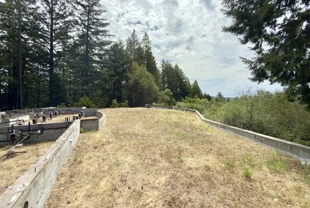 Close to build-ready 5.9 acres with ocean views! Skip the long - photo 12