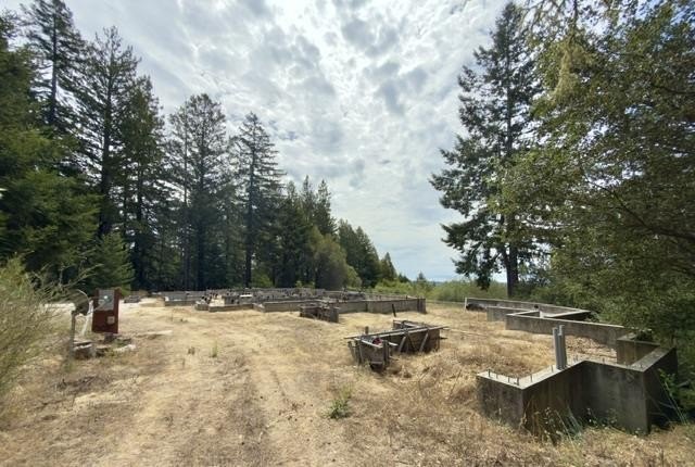 Close to build-ready 5.9 acres with ocean views! Skip the long - photo 13
