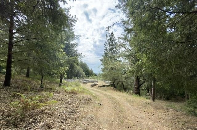 Close to build-ready 5.9 acres with ocean views! Skip the long - photo 14