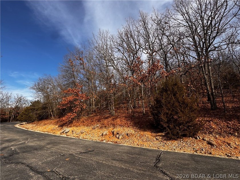 This Southern facing parcel is a very rare find at Lake of the - photo 12