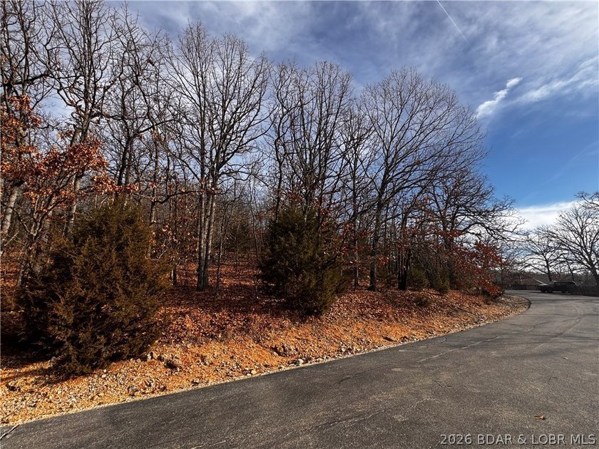 This Southern facing parcel is a very rare find at Lake of the - photo 13