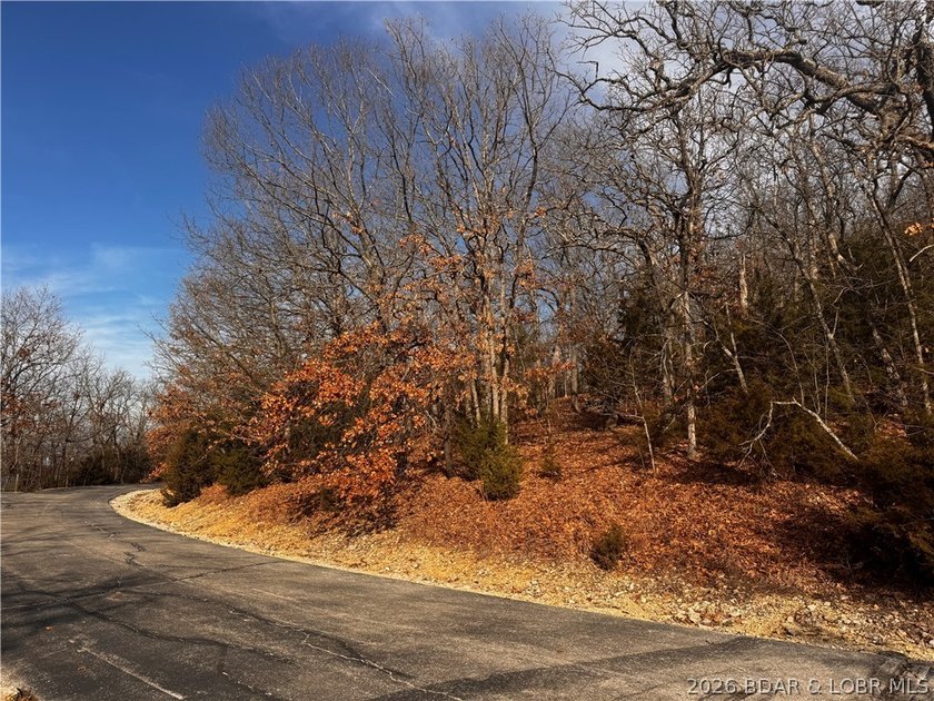 This Southern facing parcel is a very rare find at Lake of the - photo 16