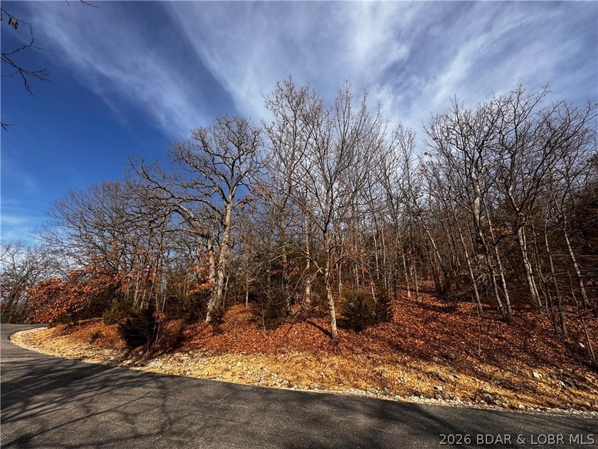 This Southern facing parcel is a very rare find at Lake of the - photo 19