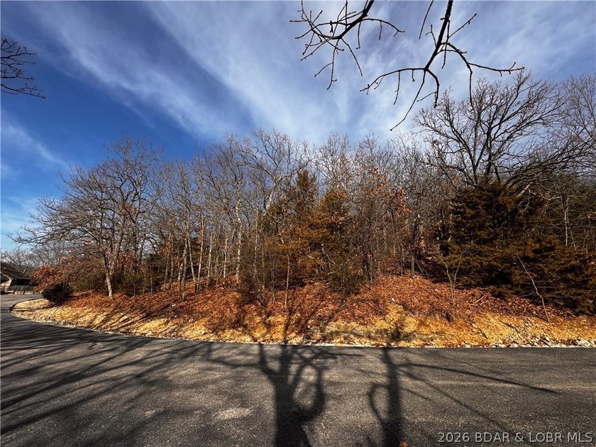 This Southern facing parcel is a very rare find at Lake of the - photo 25