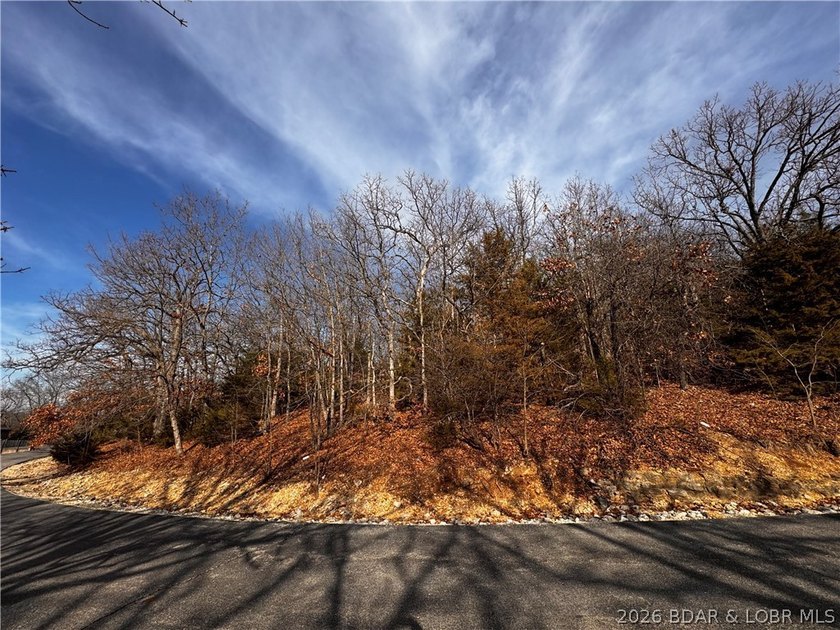 This Southern facing parcel is a very rare find at Lake of the - photo 26