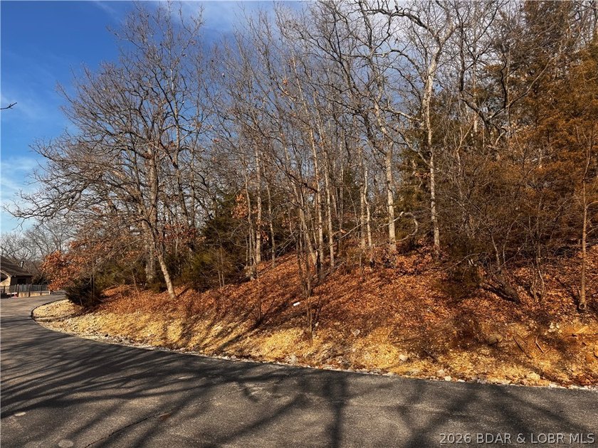 This Southern facing parcel is a very rare find at Lake of the - photo 27