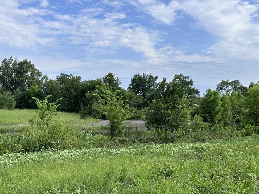 High Visibility Commercial Acreage 19.85 Acres with FM and - photo 25