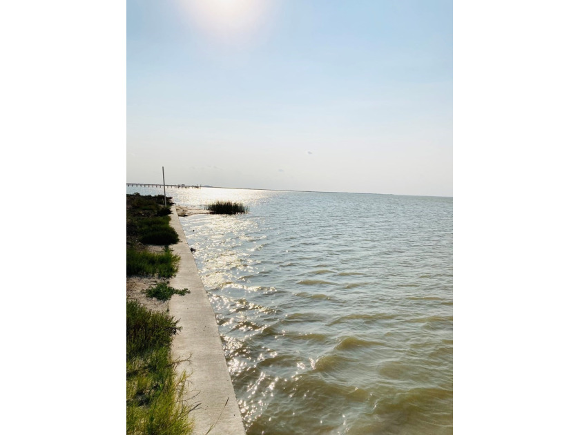 Builders dream lot. This approximate 83 x 262 canal front lot is - photo 8
