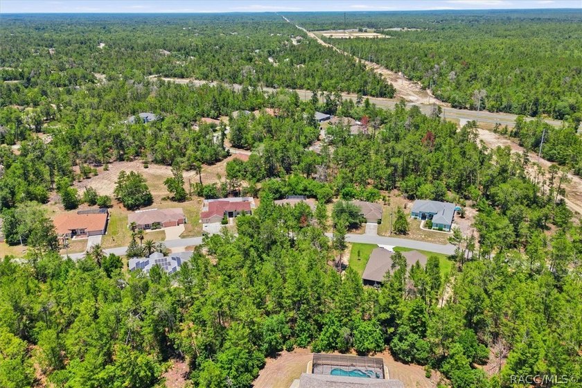 Beautifully updated, this 4-bedroom plus office pool home is - photo 47