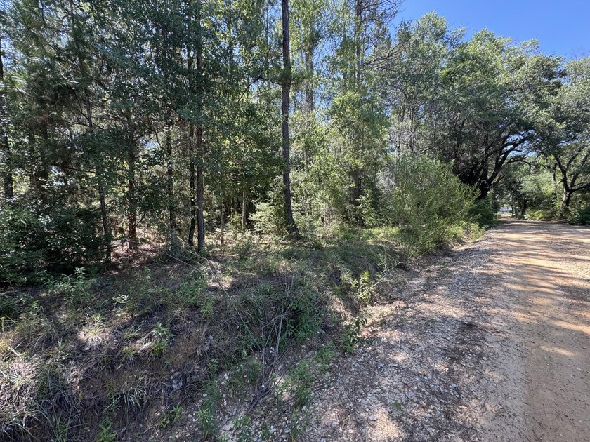 This listing encompasses four (4) parcels of land being sold as - photo 6