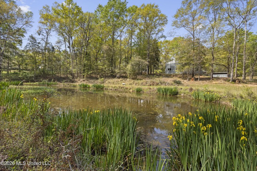 Charming 2-bedroom, 2-bath home on 7.55 acres, built in 2025 - photo 4
