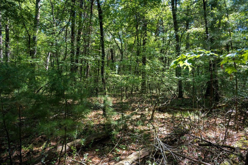 Come take a look at this 1 acre parcel with deeded access to - photo 11