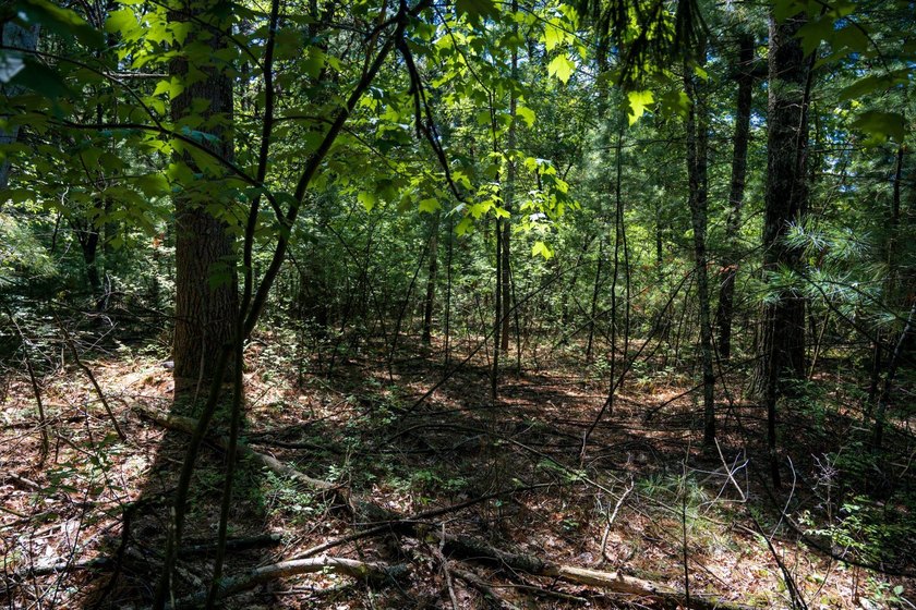 Come take a look at this 1 acre parcel with deeded access to - photo 12