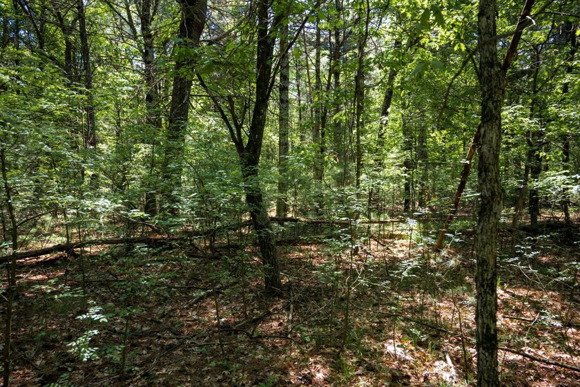Come take a look at this 1 acre parcel with deeded access to - photo 13