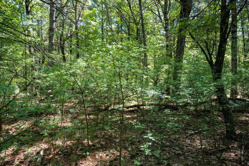Come take a look at this 1 acre parcel with deeded access to - photo 14