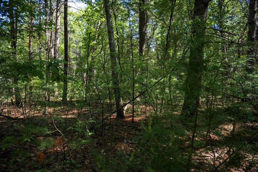 Come take a look at this 1 acre parcel with deeded access to - photo 15