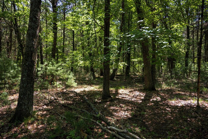 Come take a look at this 1 acre parcel with deeded access to - photo 19
