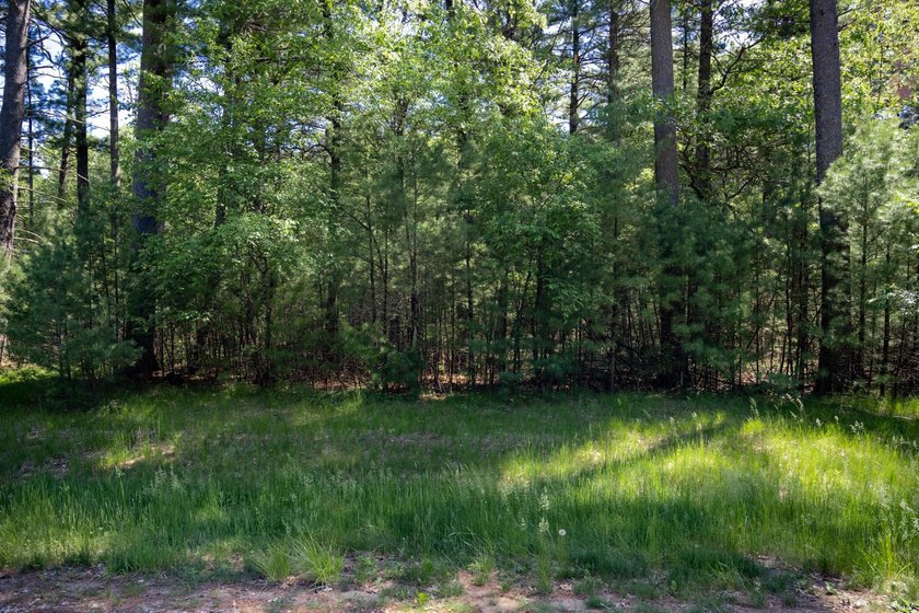 Come take a look at this 1 acre parcel with deeded access to - photo 21