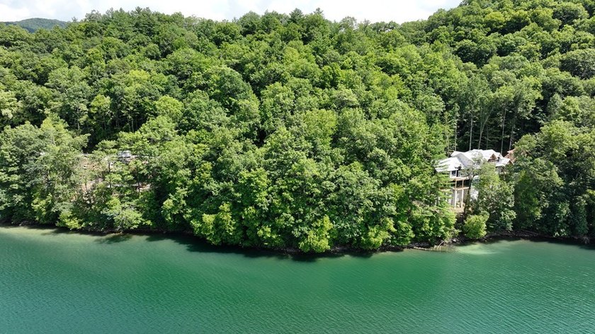 Unique 10.5 ACRES Nestled(lakefront) acres in the serene, wooded - photo 4