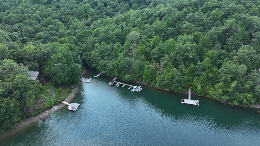 Unique 10.5 ACRES Nestled(lakefront) acres in the serene, wooded - photo 5