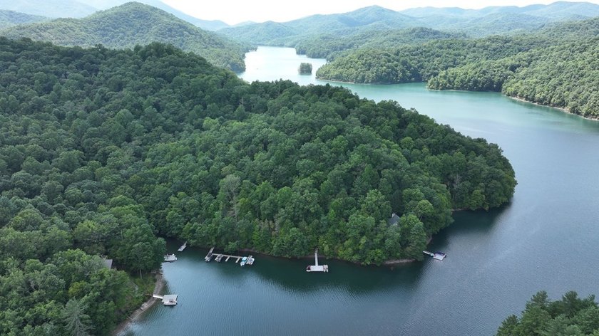 Unique 10.5 ACRES Nestled(lakefront) acres in the serene, wooded - photo 6
