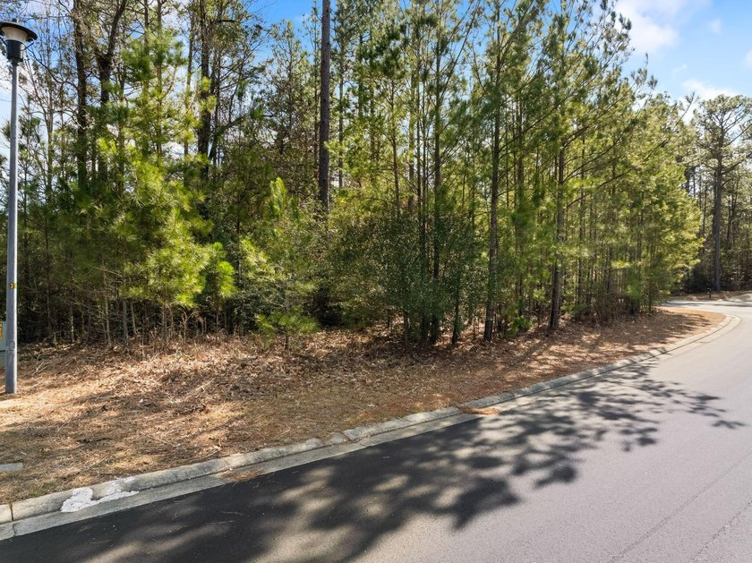 Prime 0.5 +/- Acre Lot in Timberton's LakeView Golf - photo 7