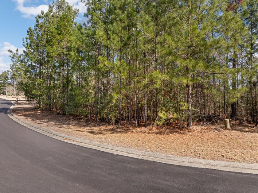 Prime 0.5 +/- Acre Lot in Timberton's LakeView Golf - photo 8
