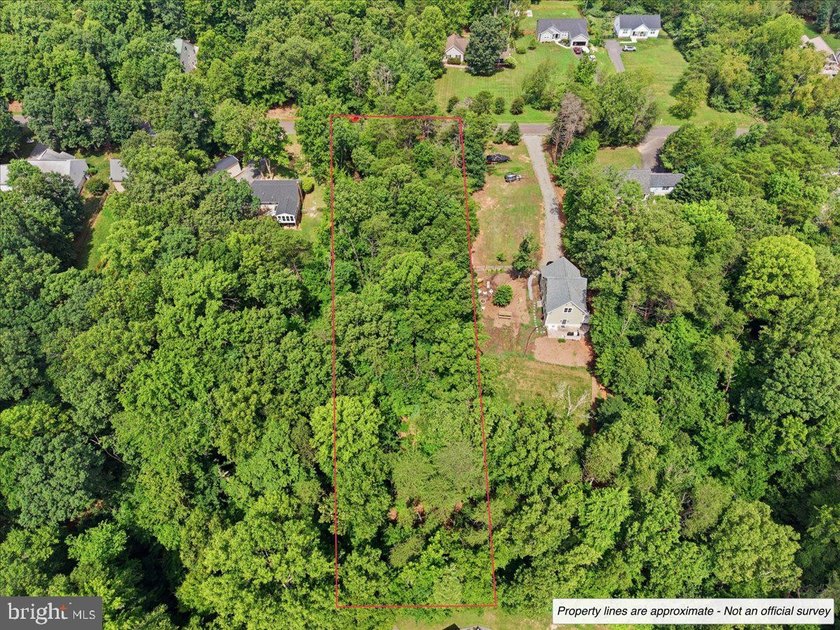 Nearly 1 acre of wooded land in the Morgan II community on the - photo 3