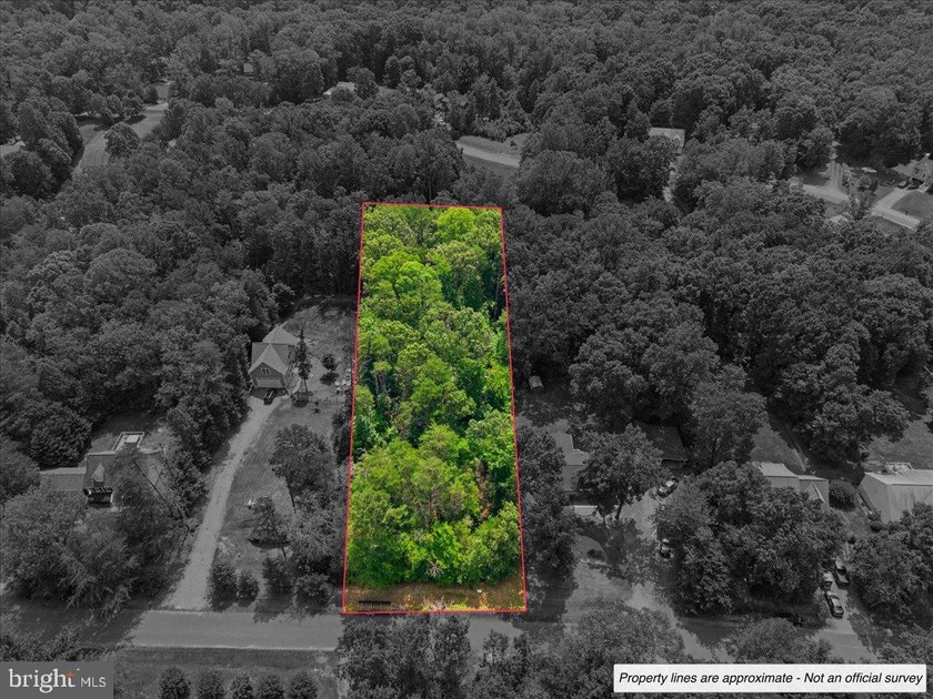 Nearly 1 acre of wooded land in the Morgan II community on the - photo 4