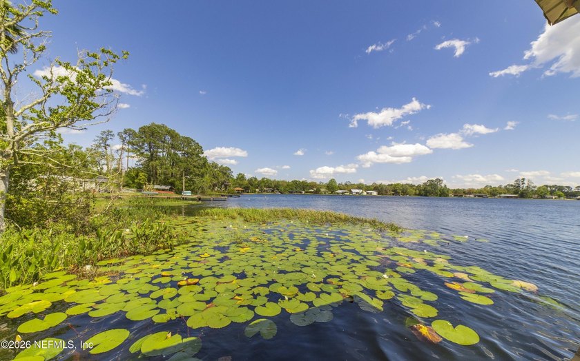 Violet Lake! Enjoy affordable waterfront living on one of North - photo 12