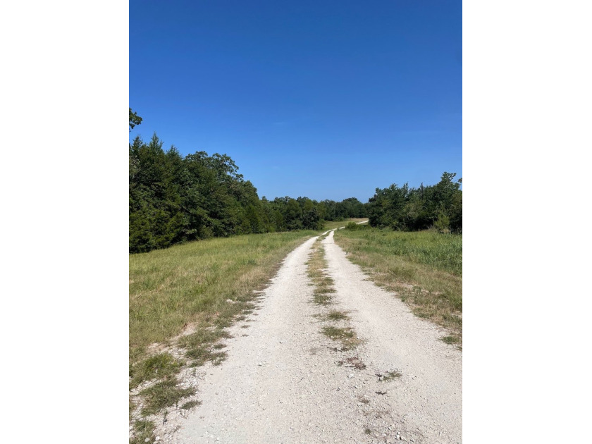 NOW SHOWING!!! Just the right size tract! Beautiful mature - photo 2