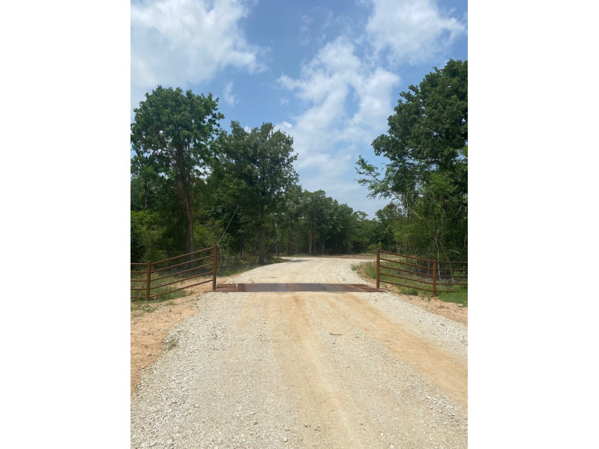 NOW SHOWING!!! Just the right size tract! Beautiful mature - photo 3