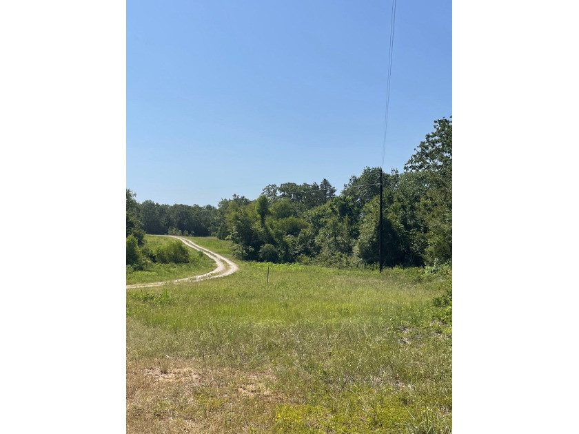 NOW SHOWING!!! Just the right size tract! Beautiful mature - photo 4