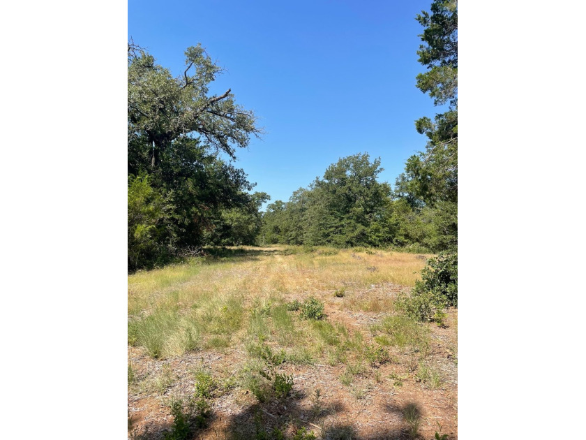 NOW SHOWING!!! Just the right size tract! Beautiful mature - photo 5