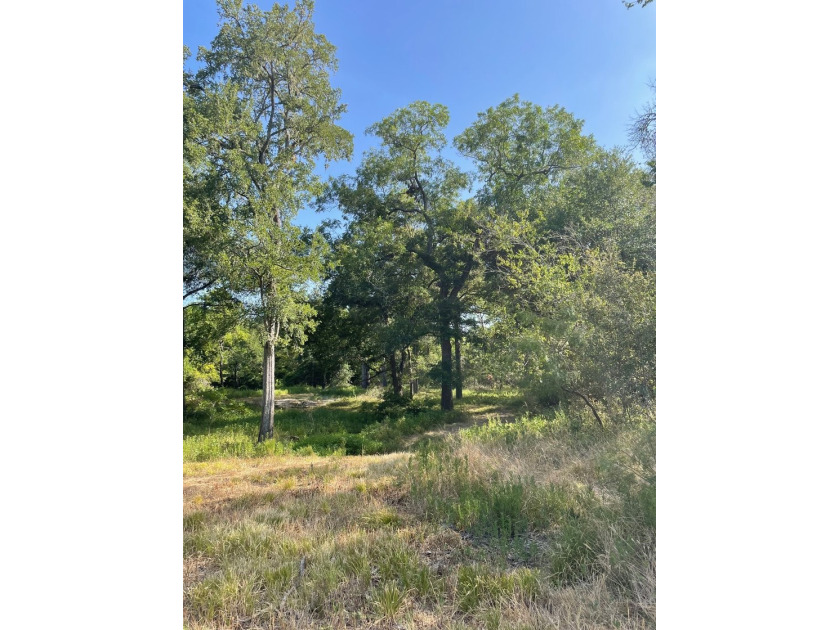 NOW SHOWING!!! Just the right size tract! Beautiful mature - photo 6