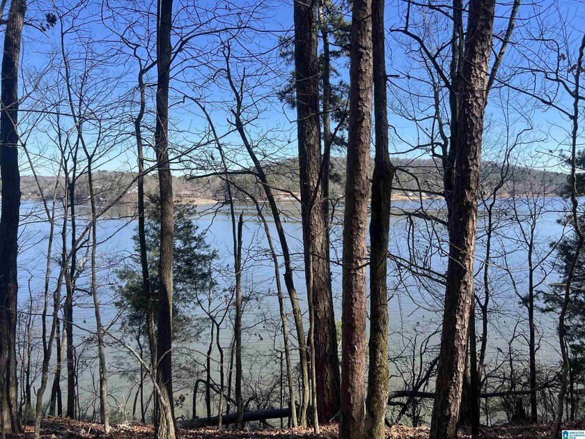 BEAUTIFUL LOT ON LOGAN MARTIN LAKE. THIS LOT HAS SO MUCH TO - photo 2