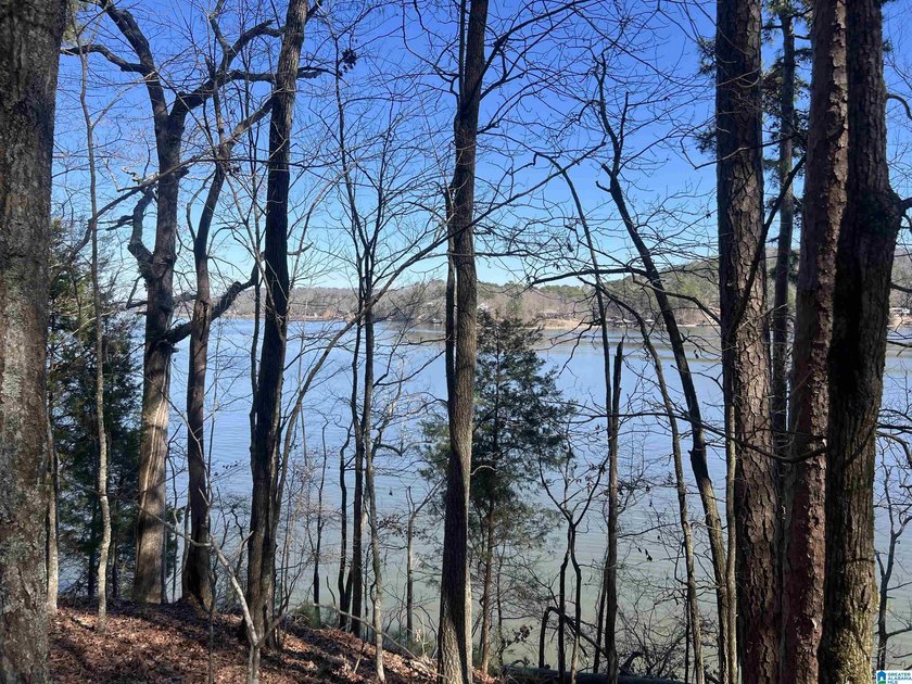BEAUTIFUL LOT ON LOGAN MARTIN LAKE. THIS LOT HAS SO MUCH TO - photo 3