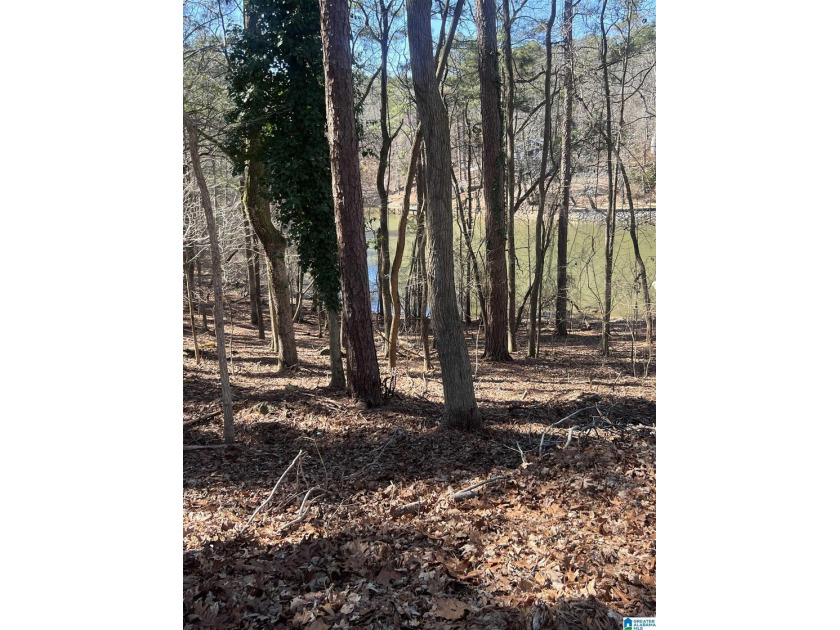 BEAUTIFUL LOT ON LOGAN MARTIN LAKE. THIS LOT HAS SO MUCH TO - photo 5