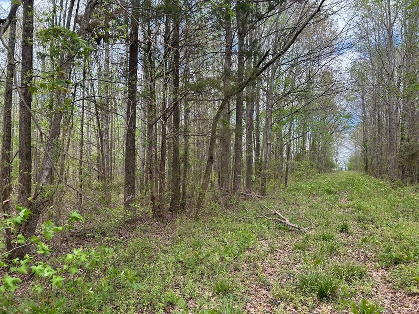 This 35 acres checks a lot of boxes including a 4+ acre private - photo 11