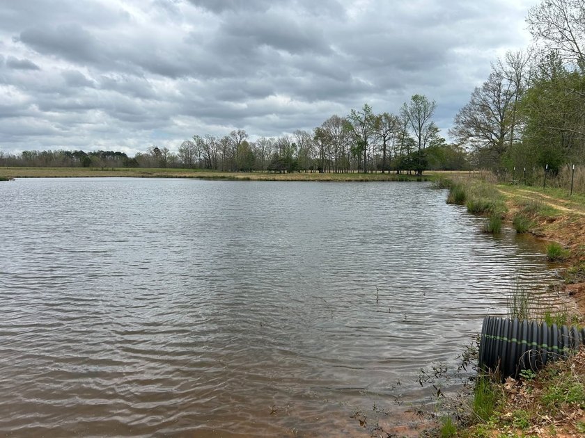 This 35 acres checks a lot of boxes including a 4+ acre private - photo 14