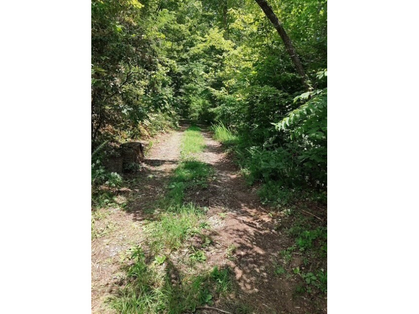 Unrestricted 1.76 acre near Fontana Lake. Forested landscape - photo 3