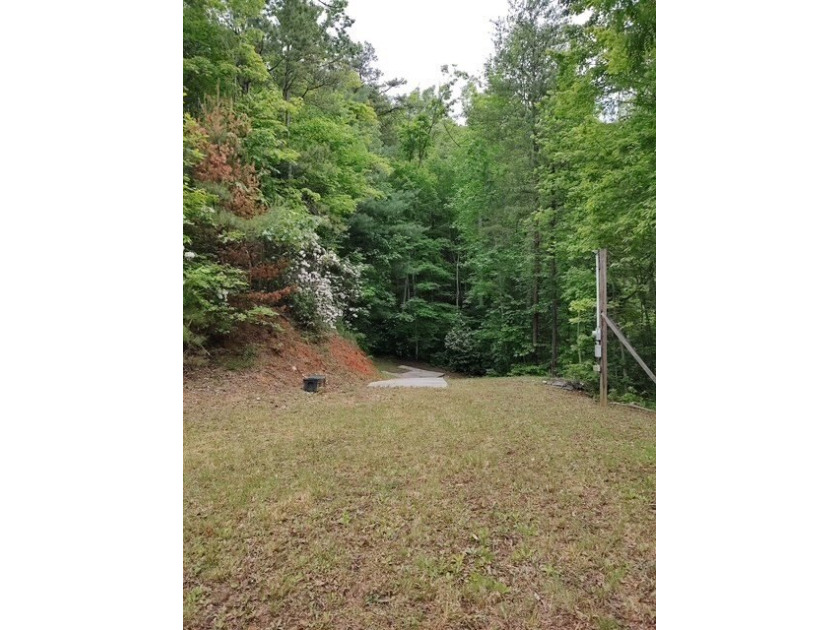 Unrestricted 1.76 acre near Fontana Lake. Forested landscape - photo 5