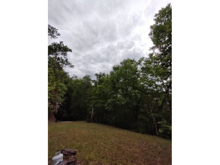 Unrestricted 1.76 acre near Fontana Lake. Forested landscape - photo 6