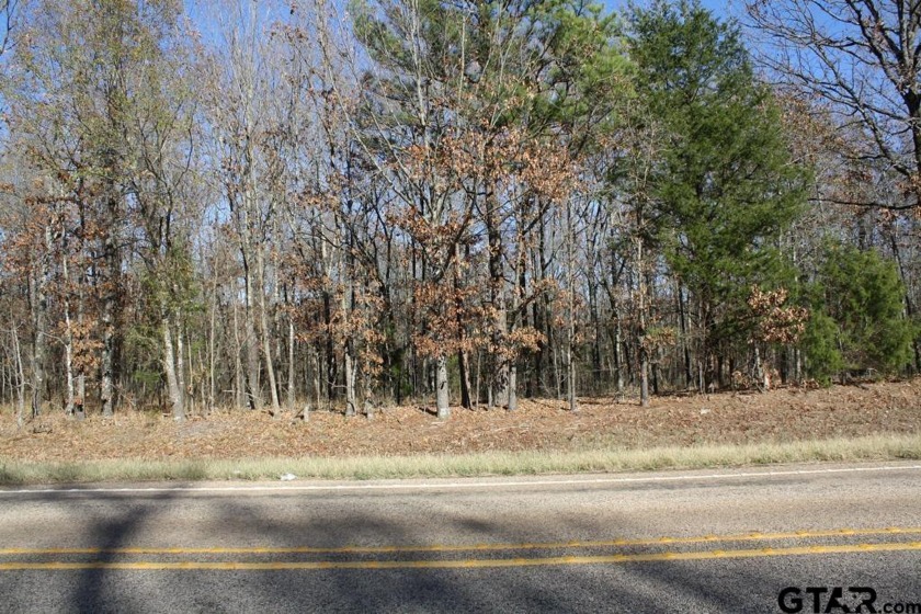 0000 FM 3122, Mount Vernon, TX 75457, 2278402